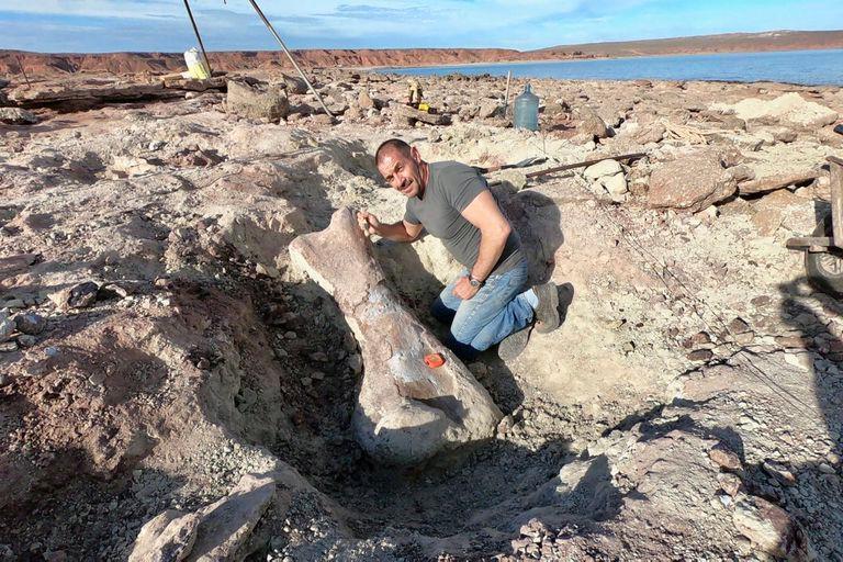 Neuquén: ﻿ Por la bajante de un lago, hallaron los restos de un dinosaurio gigante