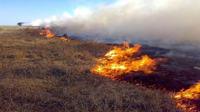 Una mujer murió tras sufrir graves quemaduras al intentar apagar un incendio en un campo de Corrientes