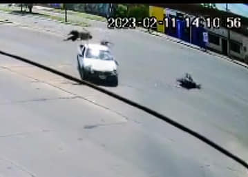 Feroz accidente en Corrientes: el conductor de la camioneta huyó