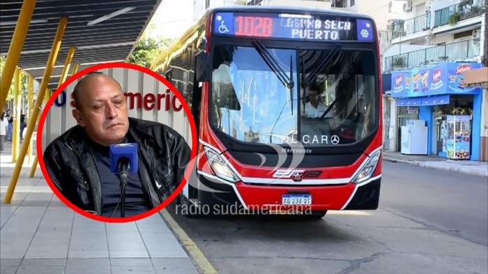 Paro de colectivos: "Todos los servicios están interrumpidos"