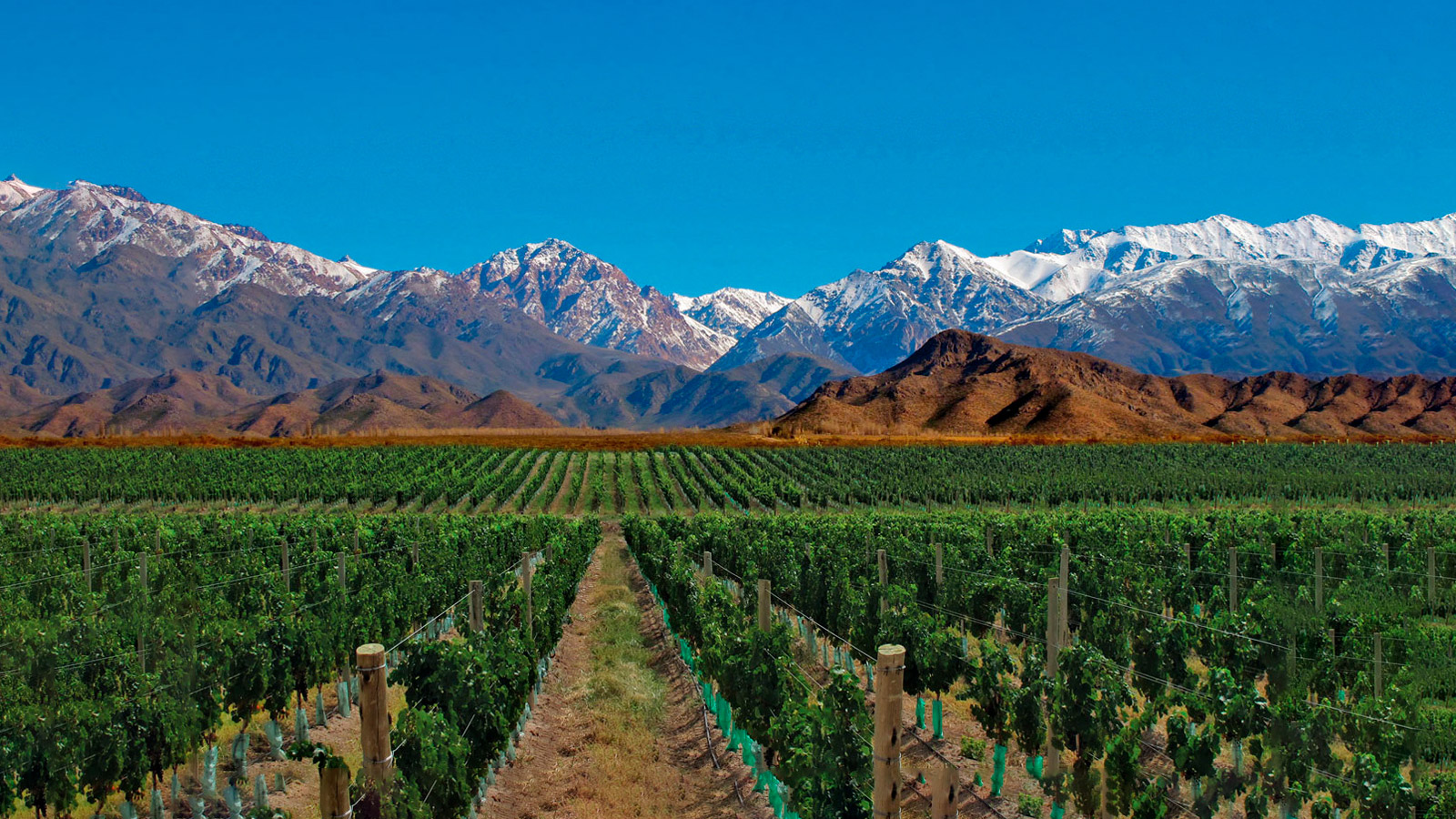 Mendoza fue elegida como "la mejor ciudad capital para vivir" en el país