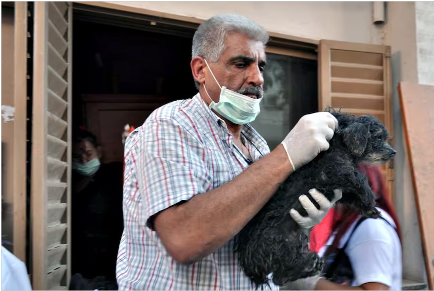 Quién era Jorge De Marco, el empresario que amaba a los animales y fue asesinado en San Isidro