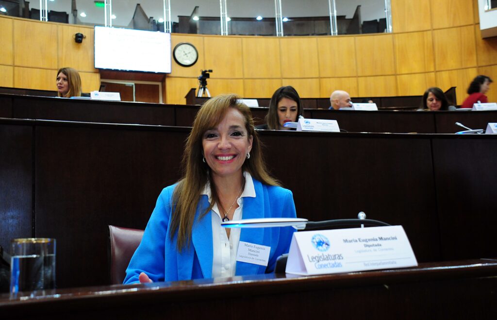 Mancini representó a Corrientes en la Comisión Federal de Cambio Climático