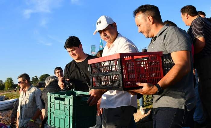 Fiesta del Surubí: Valdés encabezó la liberación de 5000 alevines en el Paraná