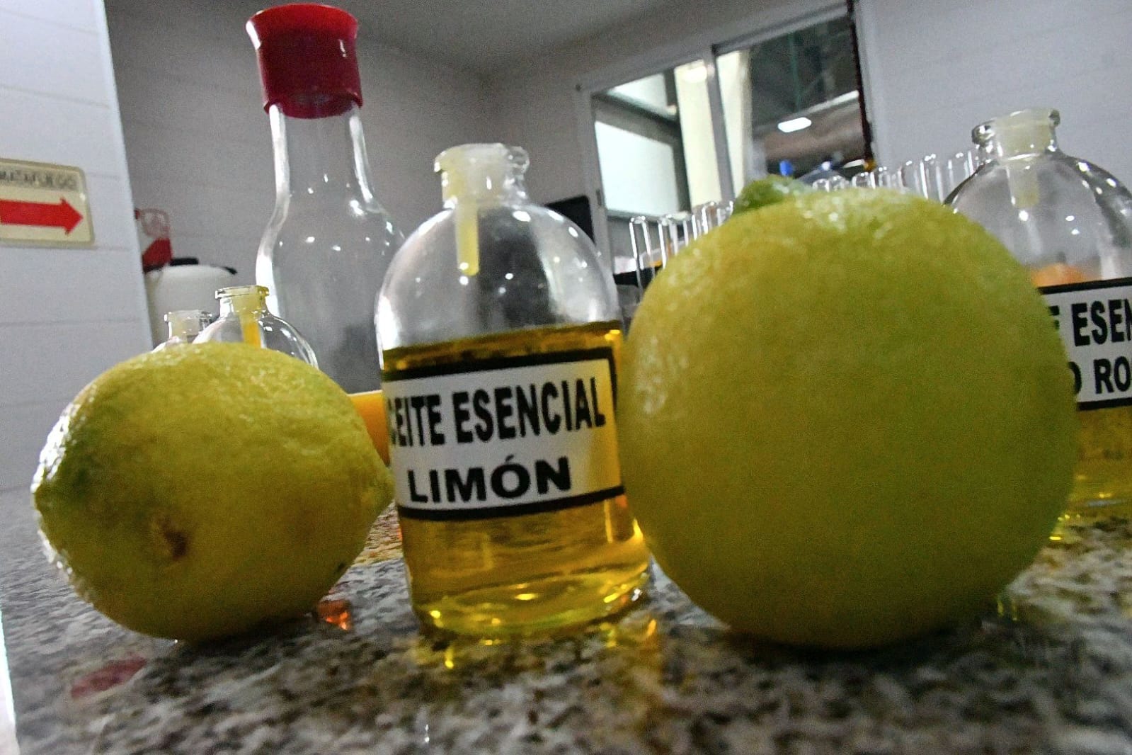 BELLA VISTA La cosecha del limón impulsa exportaciones millonarias en Corrientes