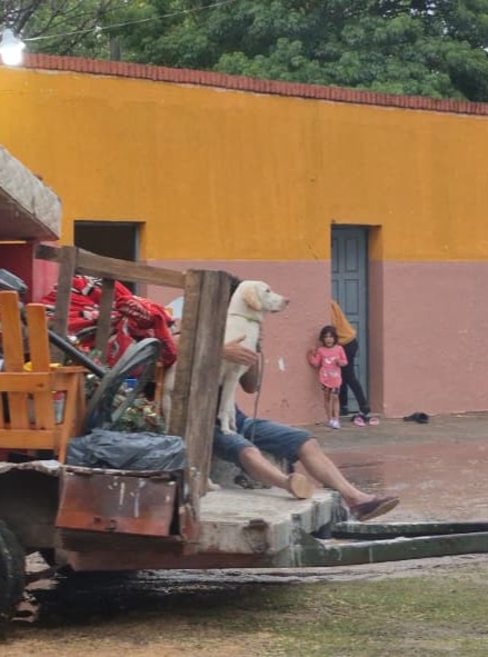 San Luis del Palmar: Más 230 mm de agua caída y siete familias evacuadas