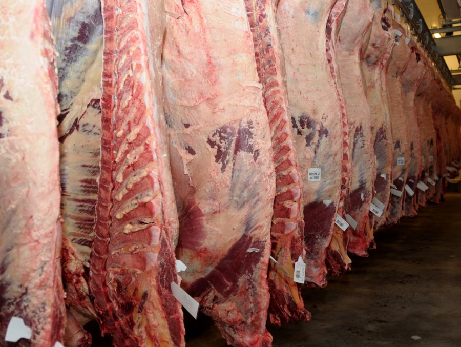 Mínimo histórico en el consumo de carne vacuna en Argentina