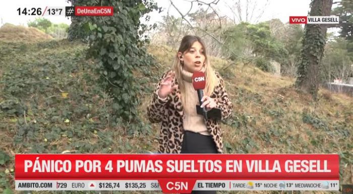 Una periodista de C5N se volvió viral por un inoportuno look