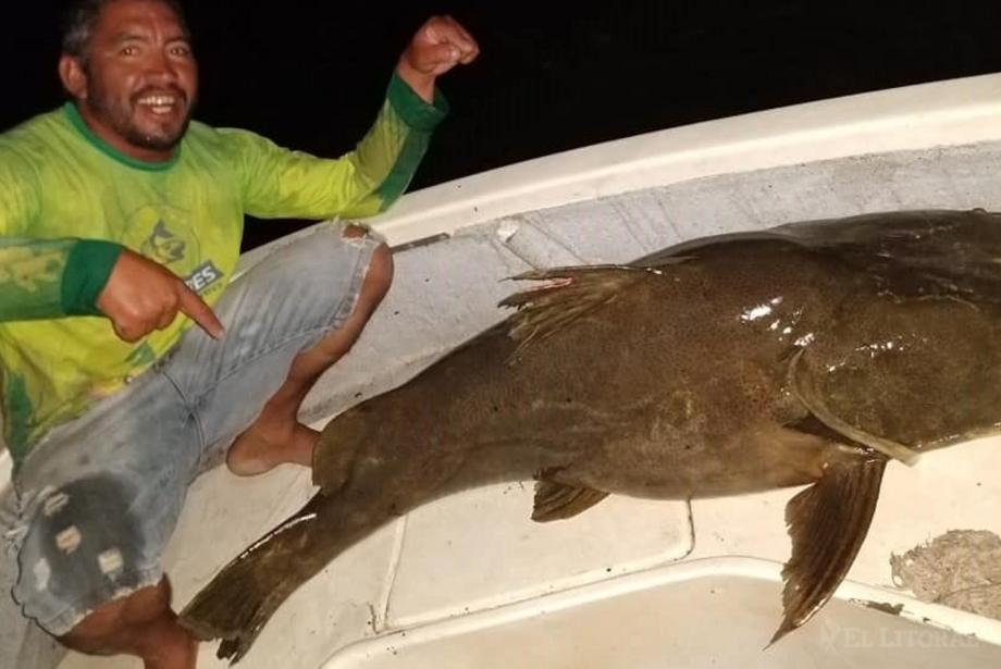 Pescaron un manguruyú de 80 kilos en Itá Ibaté