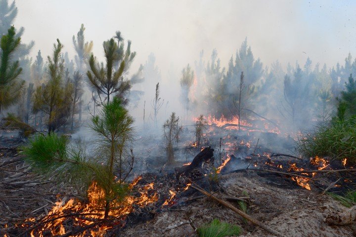 Una chispa de un tractor habría originado el incendio en los Esteros del Iberá