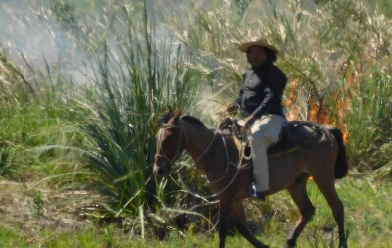 Goya: prendió fuego a un campo y quedó filmado