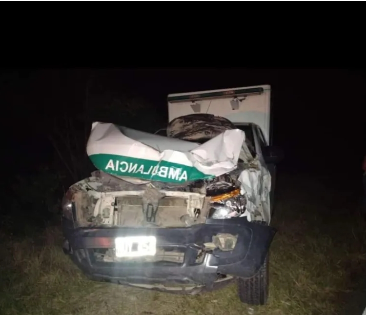 Pueblo Libertador: ambulancia chocó a una vaca