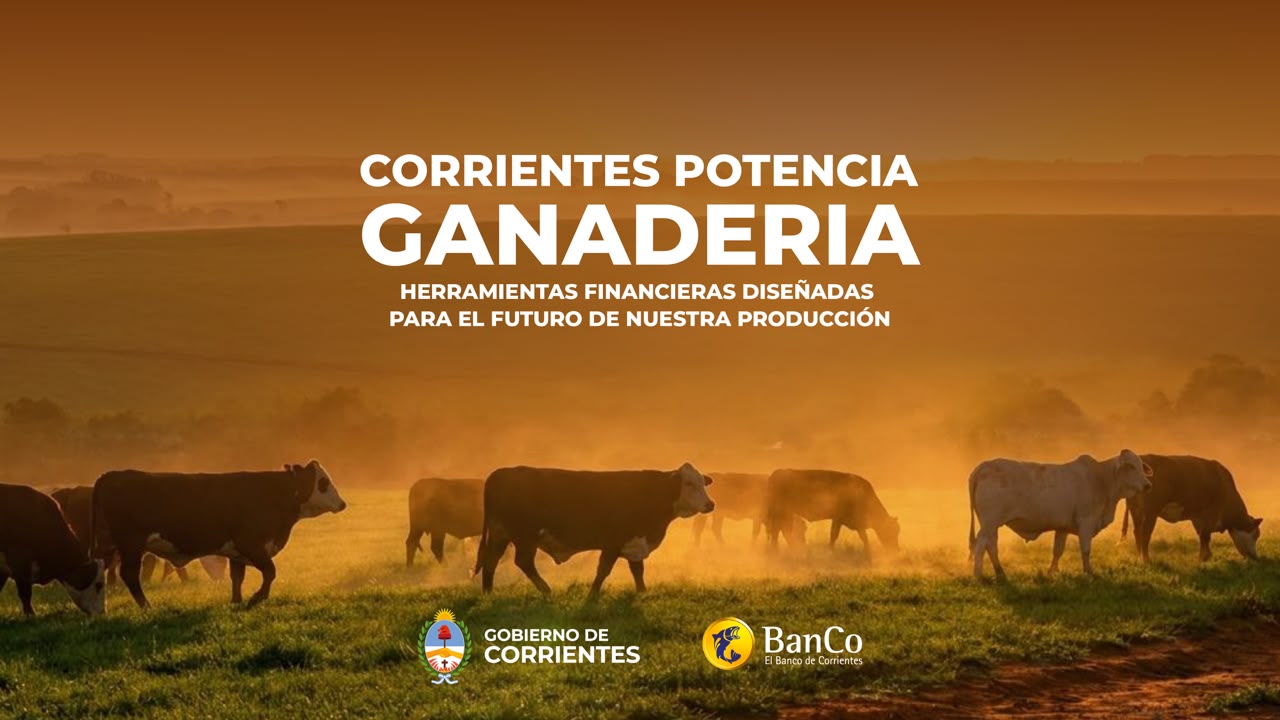 El Banco de Corrientes lanzó “Corrientes Potencia: Ganadería”, una herramienta histórica para impulsar la producción con el apoyo del Gobierno Provincial