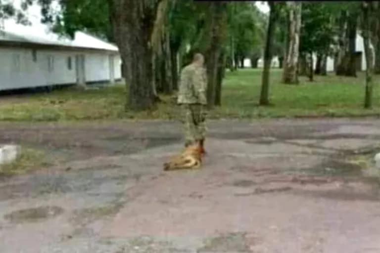 Encontraron muerto en un parque al militar que torturó y asesinó a un perro