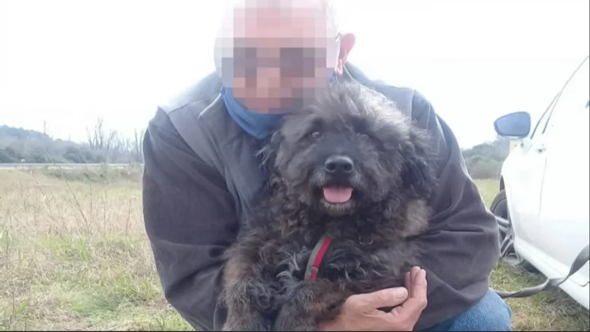 "Viuda negra" desvalijó a un jubilado y apuñaló al perro