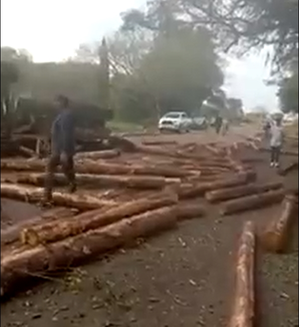 Esquina: Volcó un camión que transportaba postes sobre ruta 12