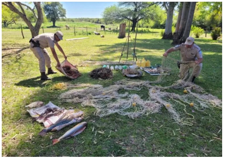 Decomisaron casi medio millón de pesos en artículos de pesca