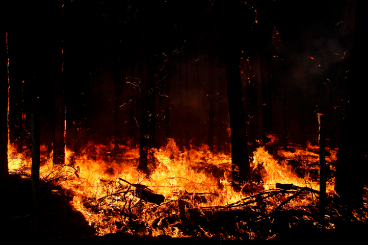 Se realizará una charla sobre permiso de quemas y prevención de incendios