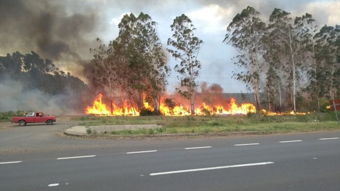 Santa Lucía: hombre murió calcinado en incendio de un campo