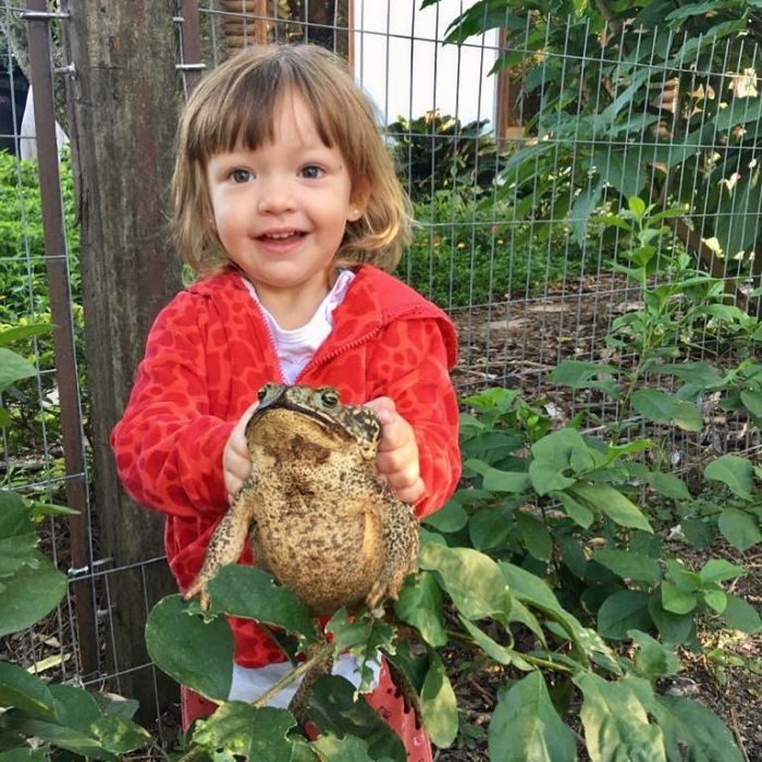 La nena correntina que es viral en las redes por su amor a los sapos