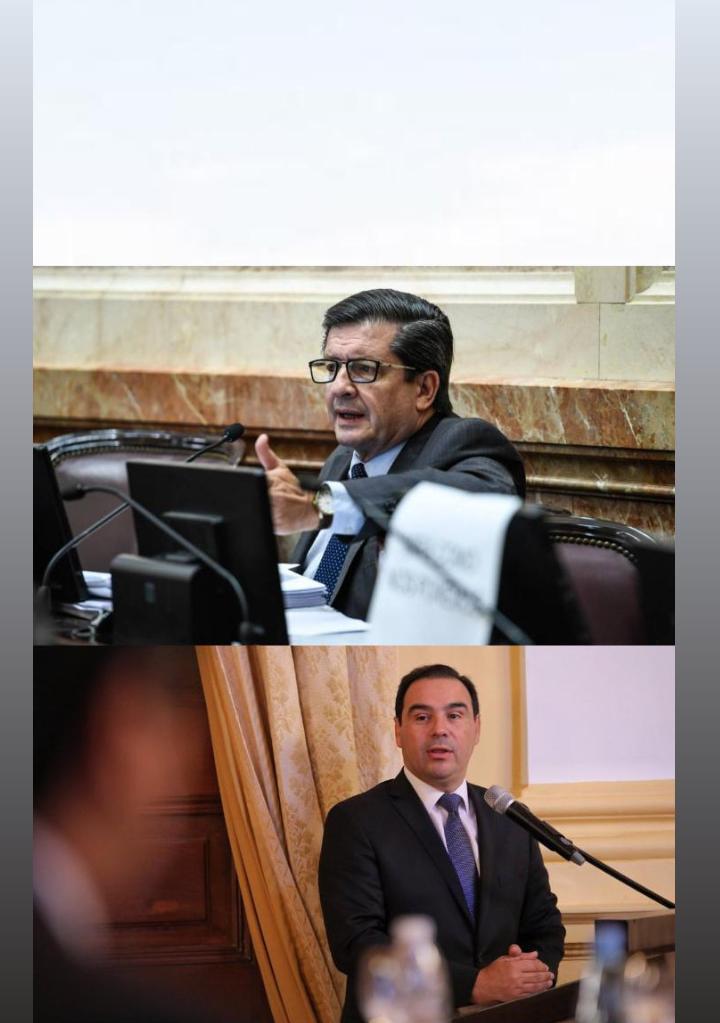 Valdés-Braillard Poccard será la fórmula de ECo+Vamos Corrientes