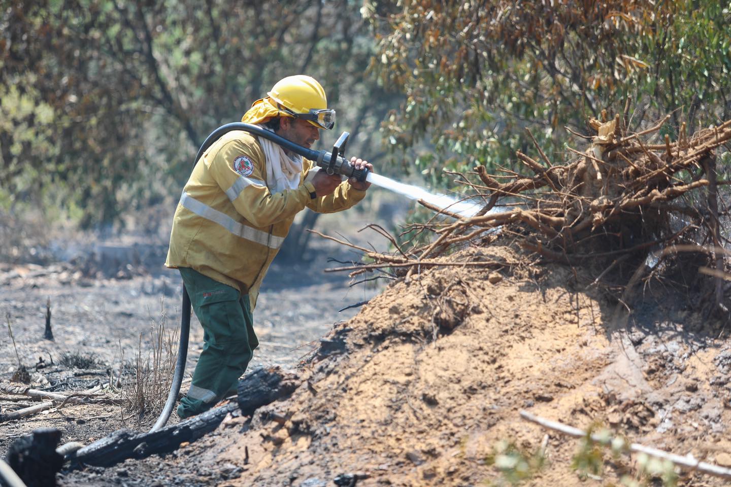 Corrientes: el fuego ya arrasó con 800 mil hectáreas y las pérdidas se estiman en $26.000 millones