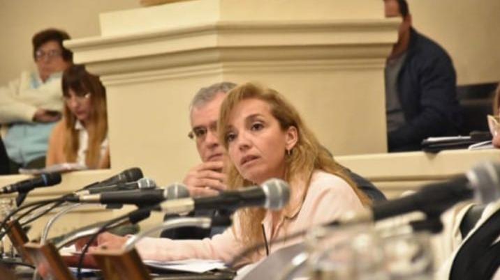 Media sanción al proyecto de Mancini para la creación de un Juzgado de Familia en Esquina