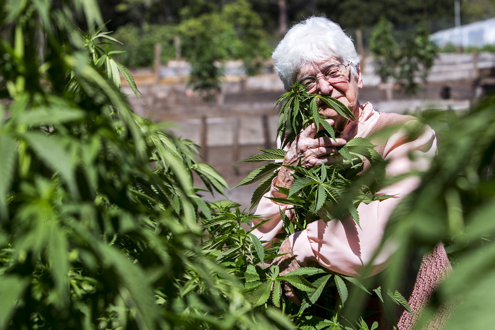 Nueva York: regalan marihuana a los vacunados de coronavirus