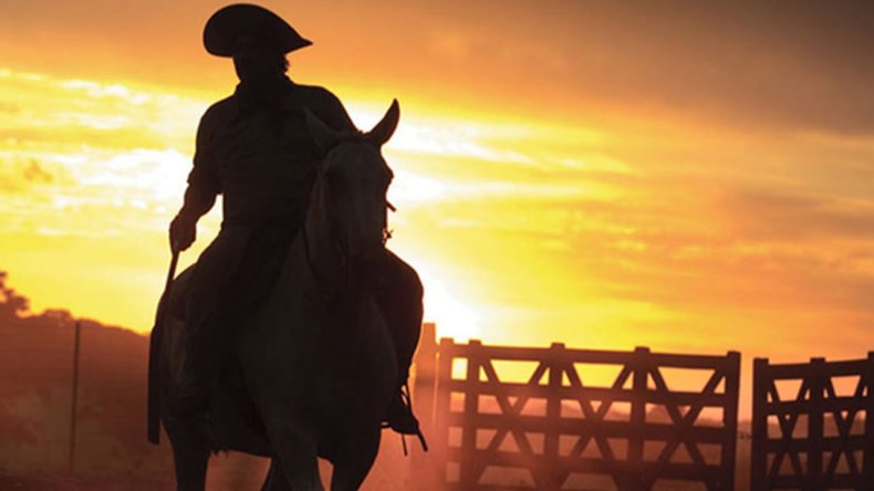 ¿Por qué se celebra hoy el Día Nacional del Gaucho?