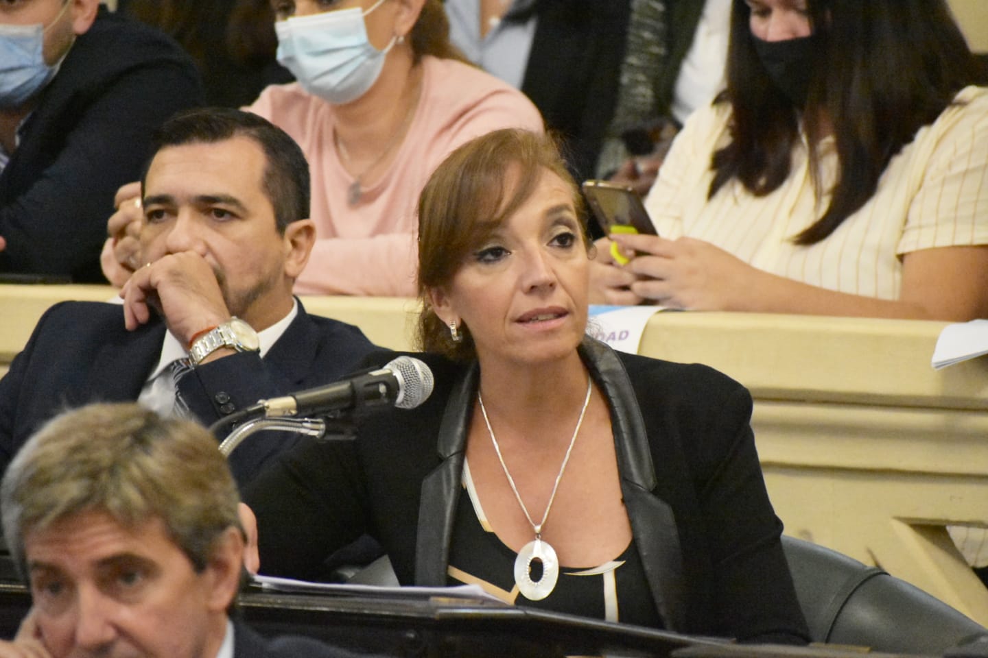 Paridad de Género: “Sin dudas este proyecto viene a saldar una parte de la deuda pendiente que se tiene con las correntinas”