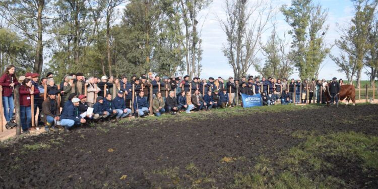 Una camaña de Esquina participa del Congreso Mundial de Braford con un sistema innovador
