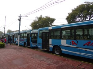 Sin servicio de colectivo urbano desde febrero