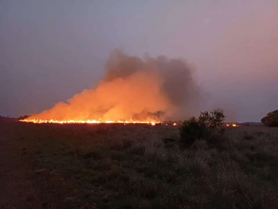 Bomberos llaman a la concientización de la comunidad para evitar incendios de pastizales