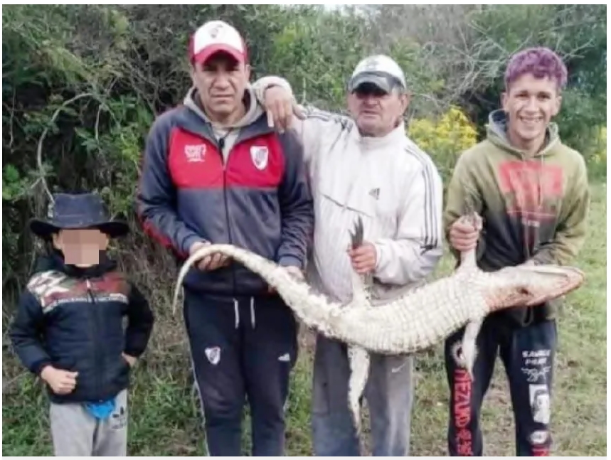 Libres: Masacraron un yacaré y los identificaron por las redes