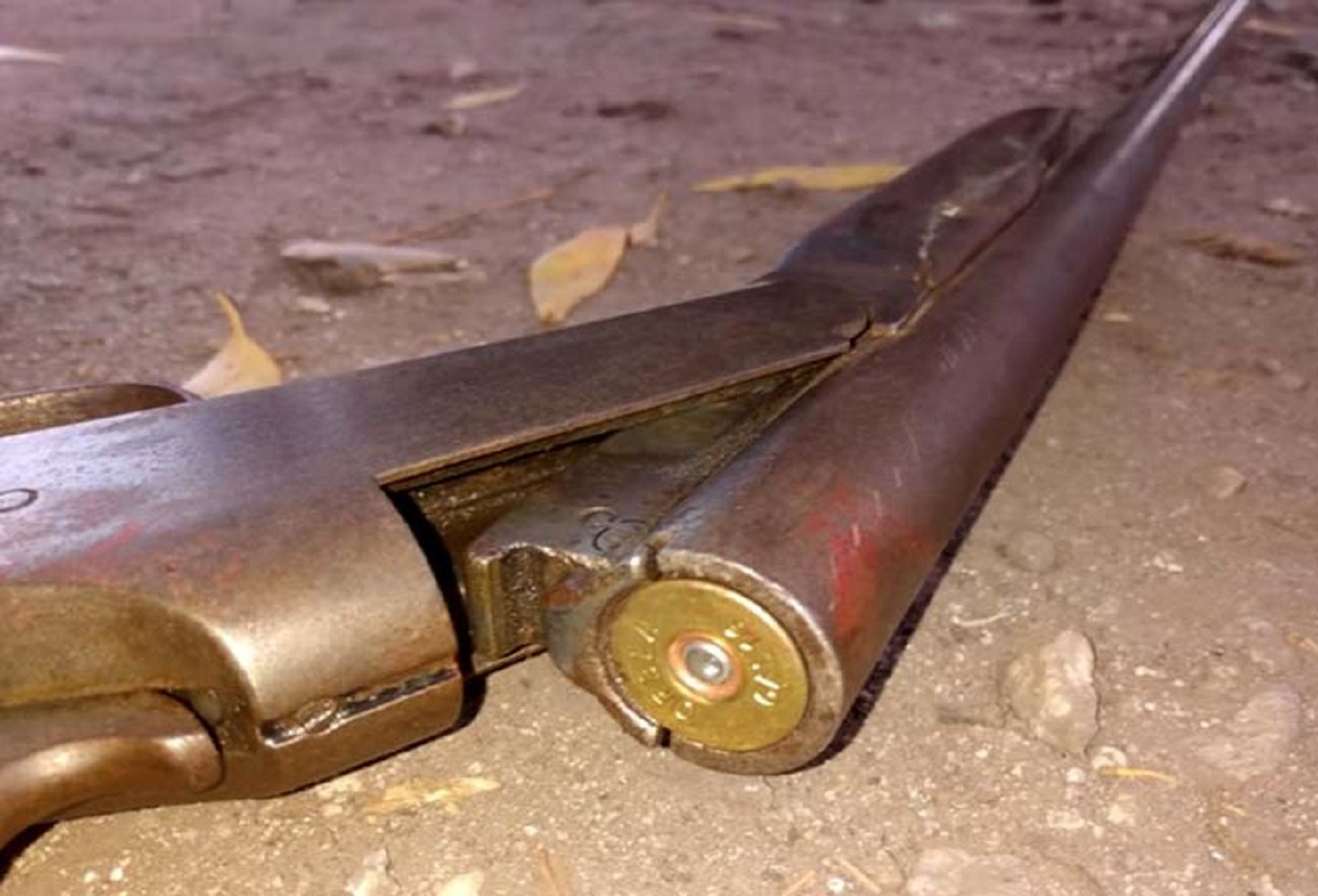Un nene de 10 años mató de un escopetazo a su hermanita de 5