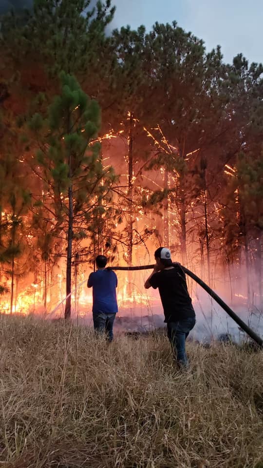 Nación destinará $500 millones para los productores afectados por incendios en Corrientes