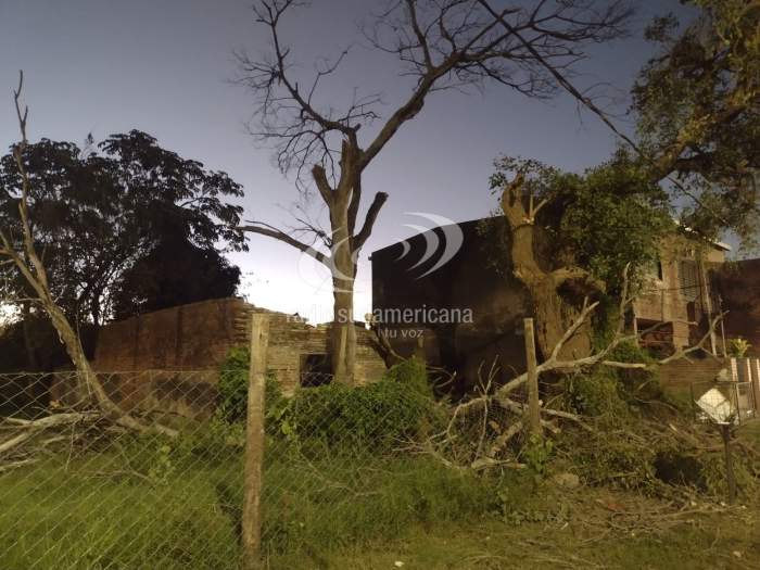 Fatal: un hombre que podaba un árbol cayó de una escalera y murió