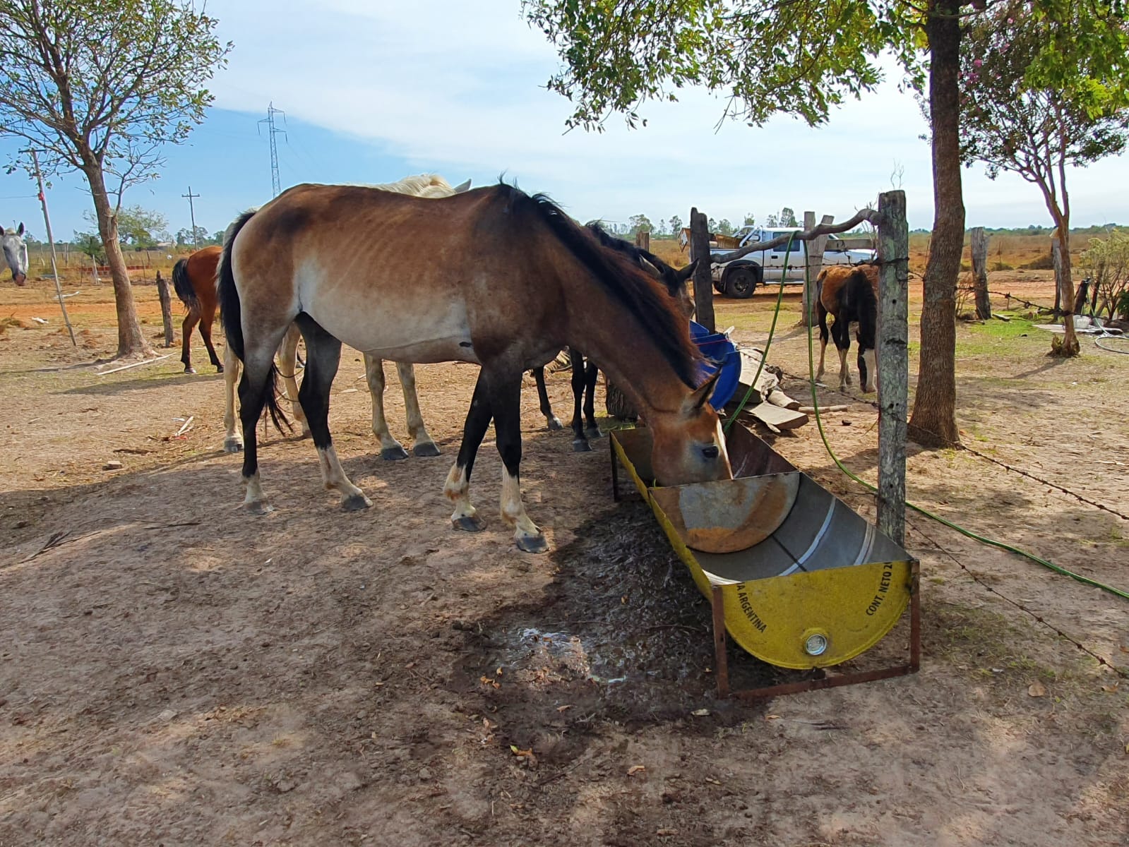 Incendios en Corrientes: chicos de una escuela técnica fabricaron bebederos para los animales
