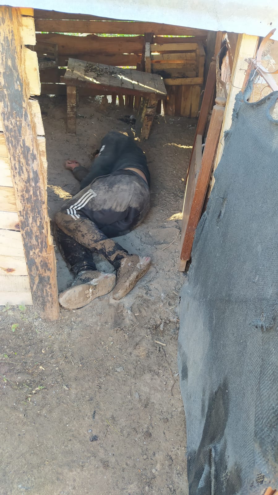 Goya: quiso robar un ternero y al ser descubierto se ocultó en un gallinero