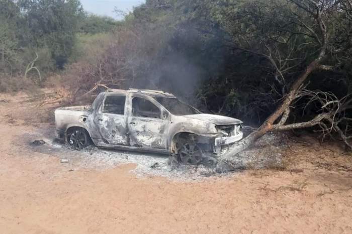 Iba al cementerio, lo atacaron las abejas, chocó y murió quemado
