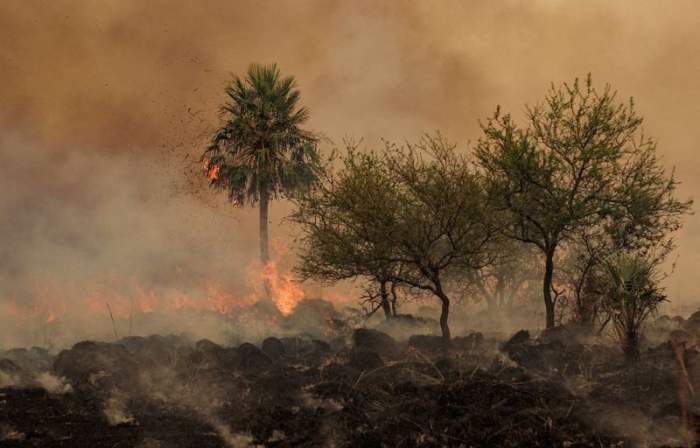 Nación anunció un proyecto para agravar la pena a quienes provoquen incendios