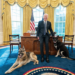El perro de Biden volvió a morder a una persona en la Casa Blanca