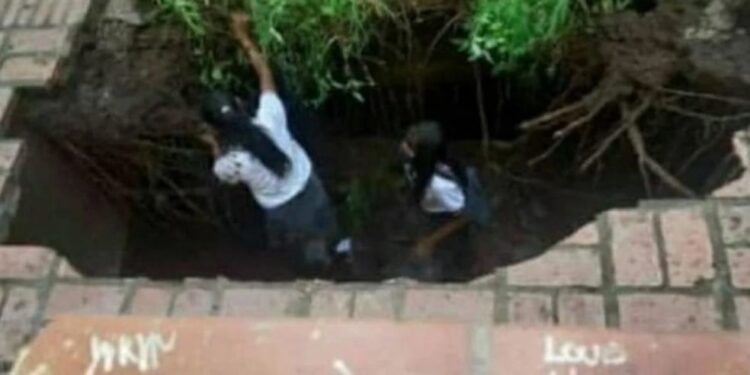 Susto en un colegio: el piso del patio se abrió y tres nenas cayeron