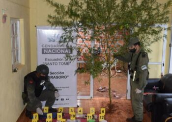 Desarticularon organización narco: hubo allanamientos en Ituzaingó