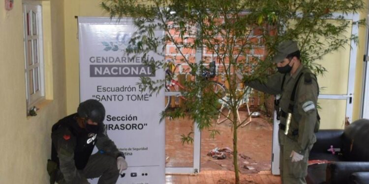 Desarticularon organización narco: hubo allanamientos en Ituzaingó