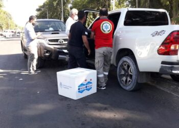 Se accidentó el ministro de Salud de Corrientes: en el auto llevaba vacunas contra el COVID-19