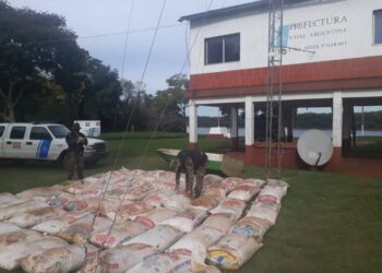 Garrucho: secuestraron más de cuatro toneladas de soja de contrabando que iban a Brasil