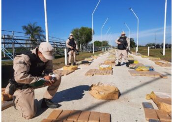 Ituzaingó: Prefectura secuestró más de 6.000 kilos de marihuana