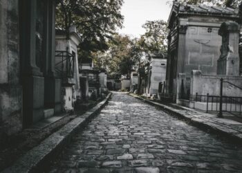 Esquina: “Los huesos estaban esparcidos por todos lados”