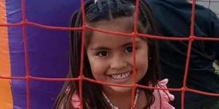 Búsqueda de Guadalupe Lucero: la familia convoca a una marcha